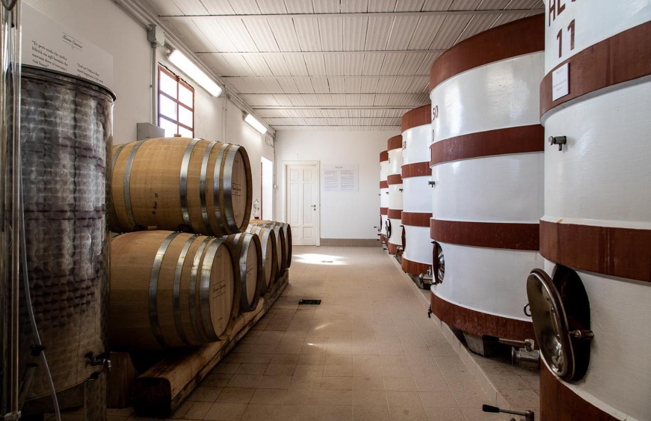 Monna Caterina Wine Resort ヴィンチ エクステリア 写真